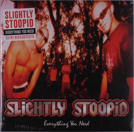 Everything You Need - Slightly Stoopid - Musik - MEMBRAN - 0196626147653 - 29. juli 2022