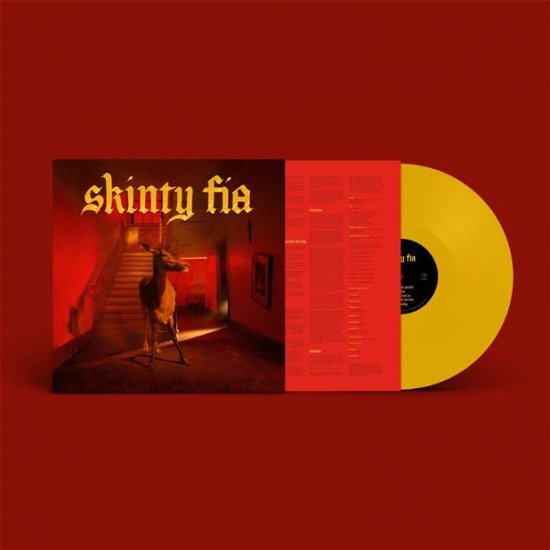 Cover for Fontaines D.C. · Skinty Fia (LP) (2022)