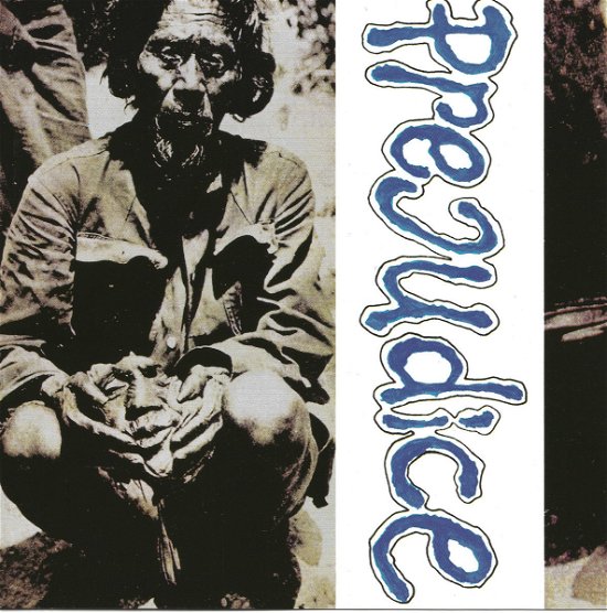 Cover for Prejudice · Metalcake (CD) (2009)