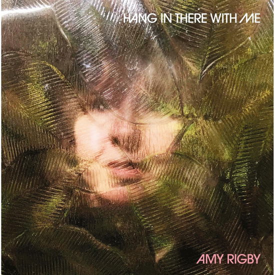 Cover for Amy Rigby · Hang in There with Me (CD) (2024)
