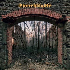 Cover for Switchblade · Switchblade 2016 (LP) (2016)
