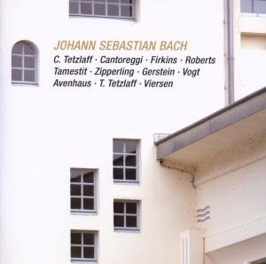 Cover for Johann Sebastian Bach · Brandenburg Concerto No.6 Bwv1079 (CD) (2009)