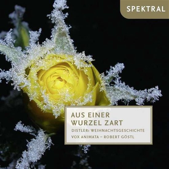 Vox Anima / Robert Göstl · Aus einer Wurzel zart (Choral Works for Advent & Christmas 20th Cent.) (CD) (2018)