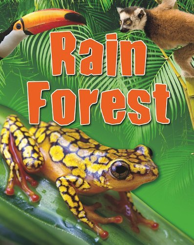 Cover for Sarah Levete · Rain Forest (Crabtree Connections) (Paperback Book) (2011)