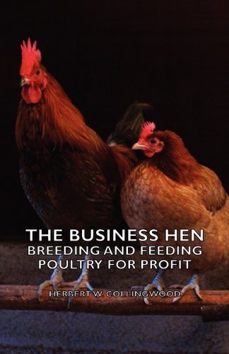 Cover for Herbert W. Collingwood · The Business Hen; Breeding and Feeding Poultry for Profit (Paperback Book) (2007)
