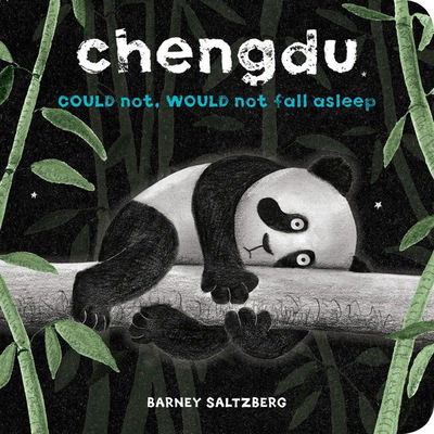 Chengdu Could Not, Would Not, Fall Asleep - Barney Saltzberg - Books - Hyperion - 9781484775653 - July 11, 2017