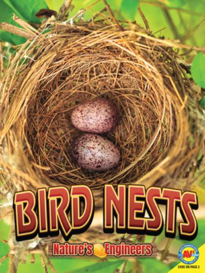 Cover for Stacy Tornio · Bird Nests (Book) (2019)