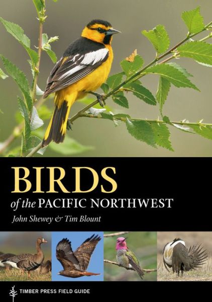 Birds of the Pacific Northwest - John Shewey - Books - Timber Press - 9781604696653 - March 1, 2017