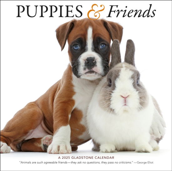 Cover for Gladstone Media · Puppies &amp; Friends Square Wall Calendar 2025 (Paperback Book) (2024)