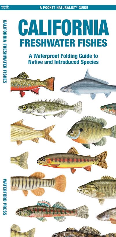 Cover for Waterford Press Waterford Press · California Freshwater Fishes: A Folding Guide to Native and Introduced Species - Pocket Naturalist Guides (Pamphlet) (2024)