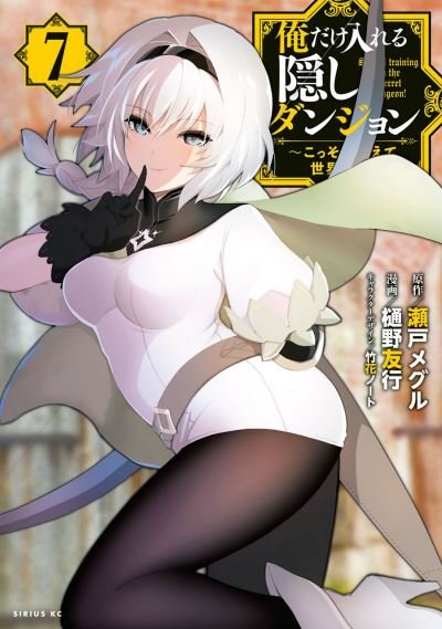 Cover for Meguru Seto · The Hidden Dungeon Only I Can Enter (Light Novel) Vol. 7 - The Hidden Dungeon Only I Can Enter (Light Novel) (Pocketbok) (2024)