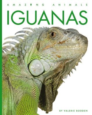 Cover for Valerie Bodden · Iguanas (Bok) (2023)