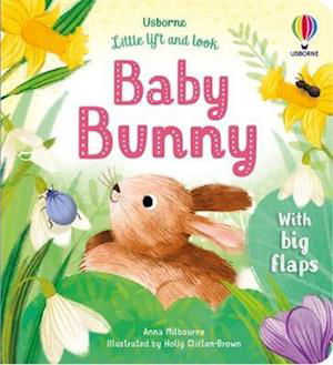 Cover for Anna Milbourne · Little Lift and Look Baby Bunny - Little Lift and Look (Board book) (2023)