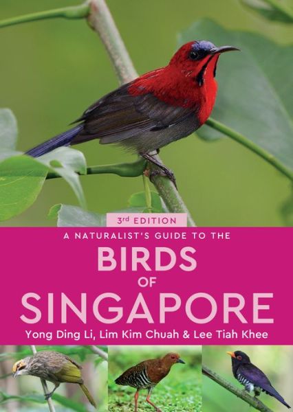 Cover for Ding Li, Yong, Chuah Lim, Kim &amp; Khee Lee, Tiah · A Naturalist's Guide to the Birds of Singapore (Pocketbok) (2018)