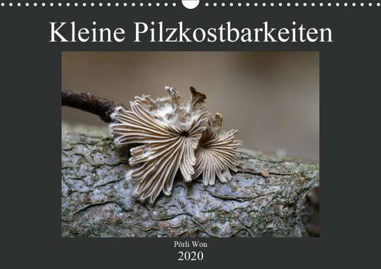 Cover for Won · Kleine Pilzkostbarkeiten (Wandkalen (Book)