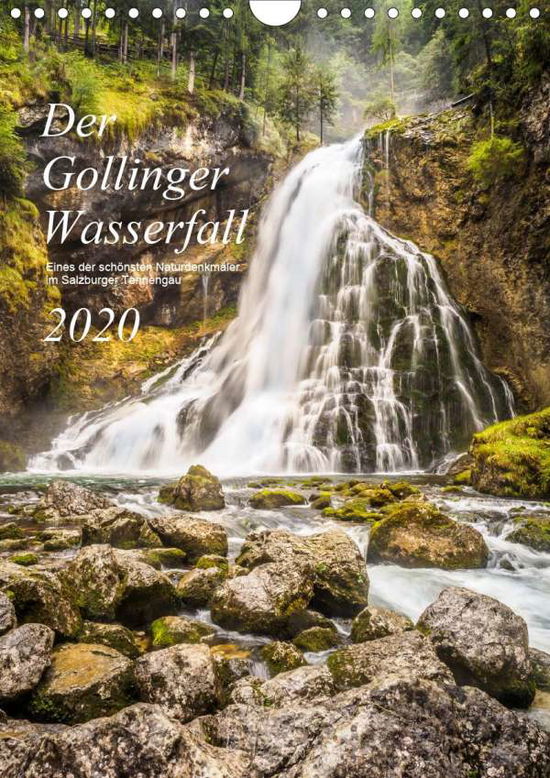 Cover for Reicher · Der Gollinger Wasserfall (Wandk (Book)