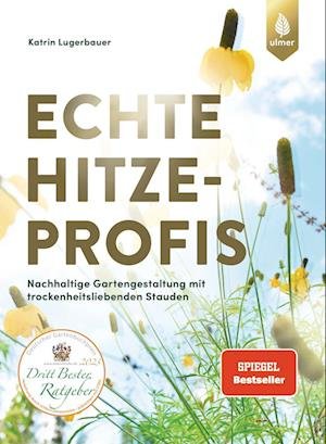 Cover for Katrin Lugerbauer · Echte Hitzeprofis (Book) (2023)
