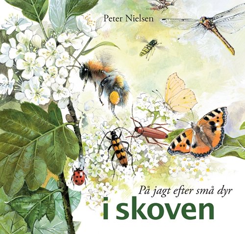Cover for Peter Nielsen · På jagt efter: På jagt efter små dyr - i skoven (Innbunden bok) [1. utgave] [Indbundet] (2008)