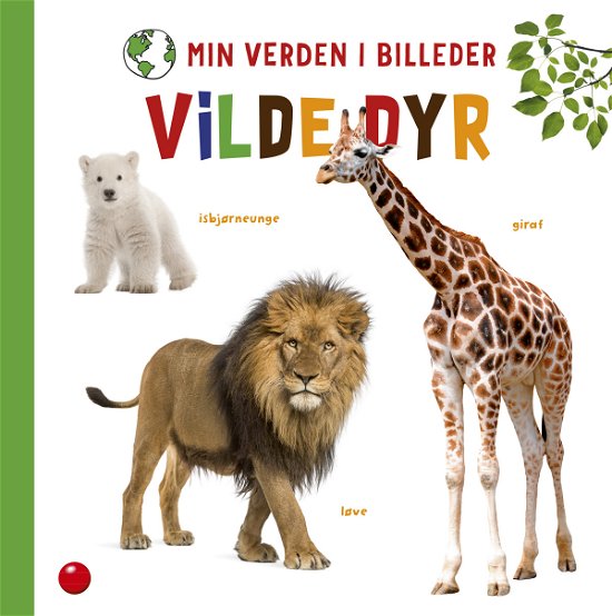 Cover for Sofie Buhl · Min verden i billeder: Min verden i billeder: Vilde dyr (Indbundet Bog) [1. udgave] (2020)