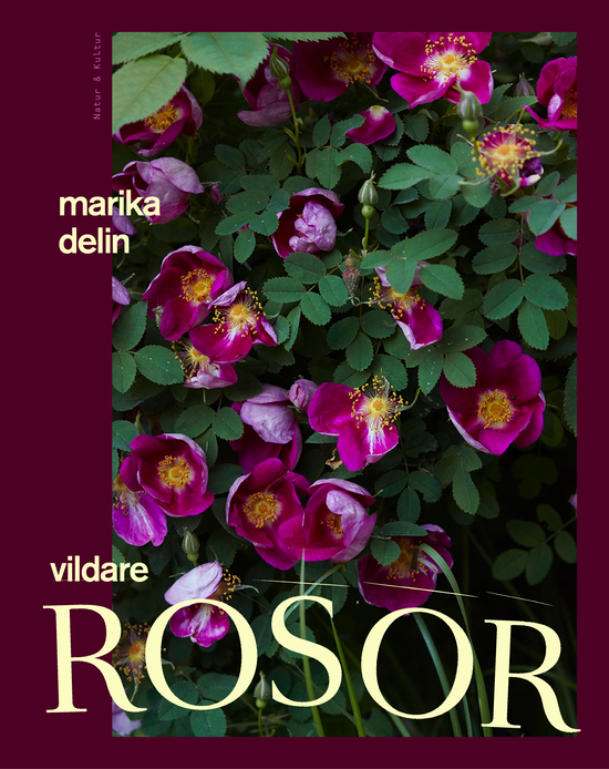 Cover for Marika Delin · Vildare rosor (Hardcover Book) (2024)