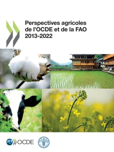 Cover for Oecd Organisation for Economic Co-operation and Development · Perspectives Agricoles De L'ocde et De La Fao 2013: Edition 2013 (Volume 2013) (French Edition) (Paperback Book) [French edition] (2013)