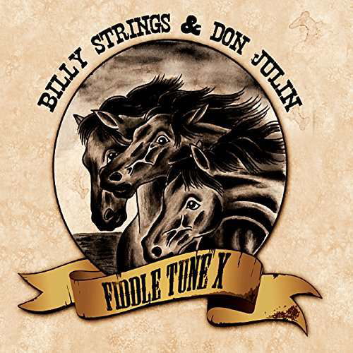 Cover for Billy Strings · Fiddle Tune X (CD) (2014)