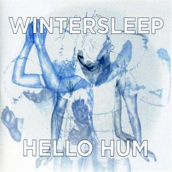Cover for Wintersleep  · Hello Hum (CD)