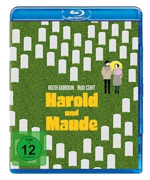 Cover for Bud Cort,vivian Pickles,cyril Cusack · Harold Und Maude (Blu-ray) [Remastered edition] (2022)