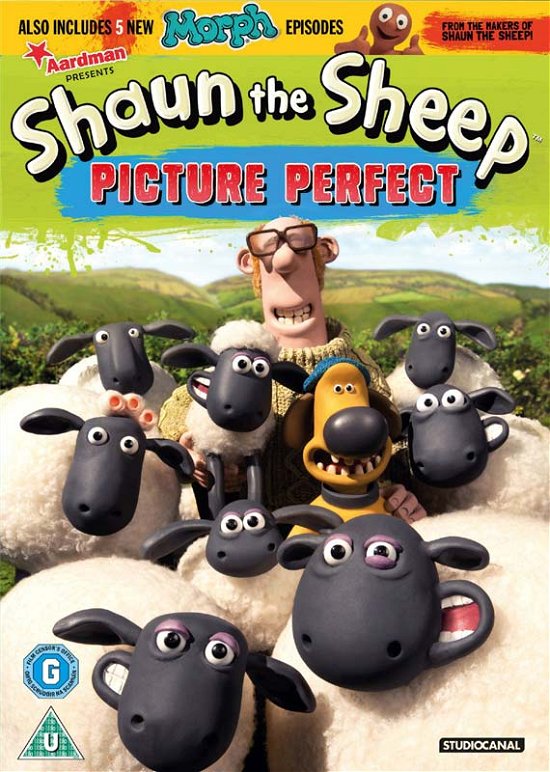 Cover for Shaun the Sheep: Picture Perfe (DVD) (2015)