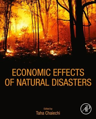 Cover for Economic Effects of Natural Disasters: Theoretical Foundations, Methods, and Tools (Paperback Book) (2020)