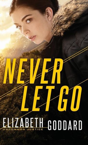 Cover for Elizabeth Goddard · Never Let Go (Hardcover Book) (2019)