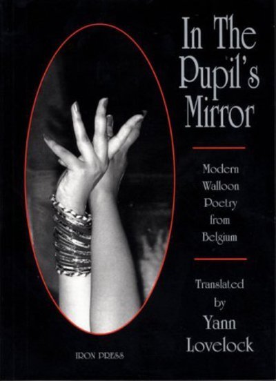 Cover for In The Pupil's Mirror (Paperback Book) (1998)