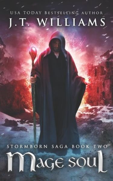 Cover for J.T. Williams · Mage Soul (Pocketbok) (2019)