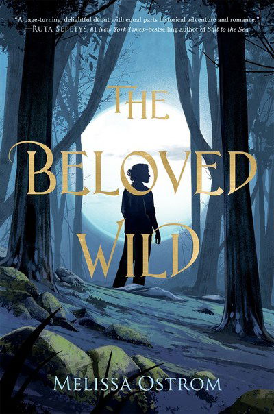 Cover for Melissa Ostrom · The Beloved Wild (Paperback Book) (2019)