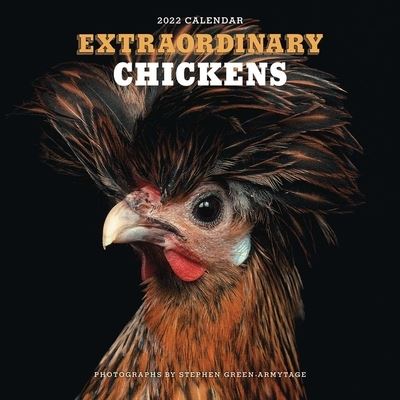 Cover for Stephen Green-Armytage · Extraordinary Chickens 2022 Wall Calendar (Calendar) (2021)