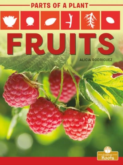 Fruits - Alicia Rodriguez - Livros - Crabtree Roots - 9781427140654 - 1 de julho de 2021