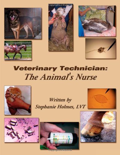 Cover for Lvt Stephanie Holmes · Veterinary Technician:: the Animal's Nurse (Paperback Book) (2009)