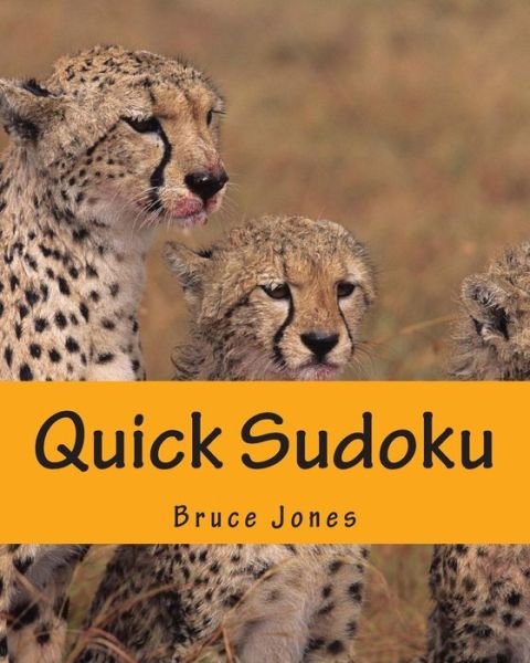 Cover for Bruce Jones · Quick Sudoku: Fast, Fun, and Easy Sudoku Puzzles (Pocketbok) (2012)
