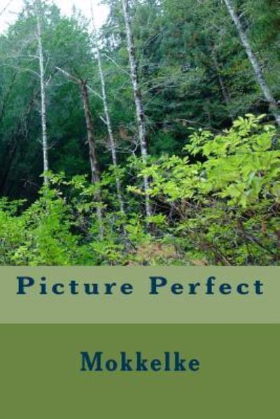 Cover for Mokkelke · Picture Perfect (Paperback Book) (2015)