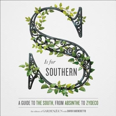 Cover for David Dibenedetto · S Is for Southern (CD) (2017)