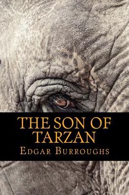 The Son of Tarzan - Edgar Rice Burroughs - Książki - Createspace Independent Publishing Platf - 9781540533654 - 21 listopada 2016