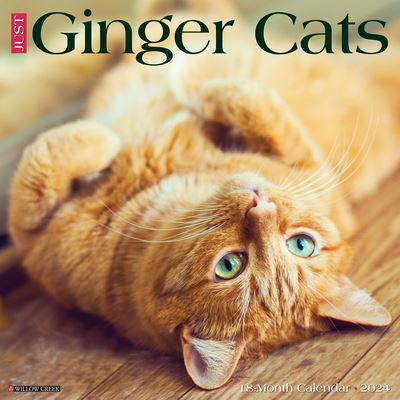 Cover for Willow Creek Press · Just Ginger Cats 2024 12 X 12 Wall Calendar (Kalender) (2023)