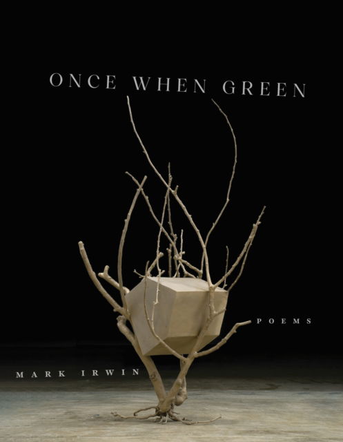 Cover for Mark Irwin · Once When Green: Poems - Juniper Prize for Poetry (Paperback Book) (2025)