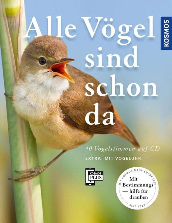 Cover for Singer · Alle Vögel sind schon da (Book)