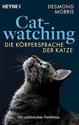 Cover for Desmond Morris · Catwatching (Buch) (2023)