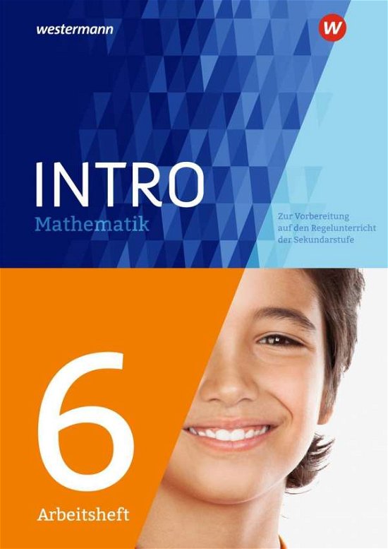 INTRO Mathematik SI - Arbeitsheft 6 (Buch)