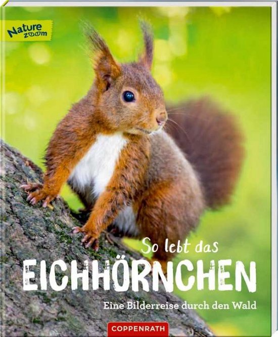 Cover for Noa · So lebt das Eichhörnchen (Buch)