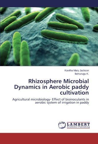 Cover for Ilamurugu K. · Rhizosphere Microbial Dynamics in Aerobic Paddy Cultivation: Agricultural Microbiology- Effect of Bioinoculants in Aerobic System of Irrigation in Paddy (Paperback Bog) (2013)