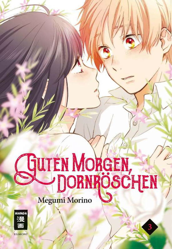 Cover for Morino · Guten Morgen, Dornröschen! 03 (Book)