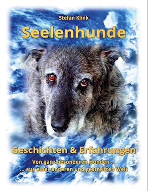 Cover for Stefan Klink · Seelenhunde (Book) (2025)